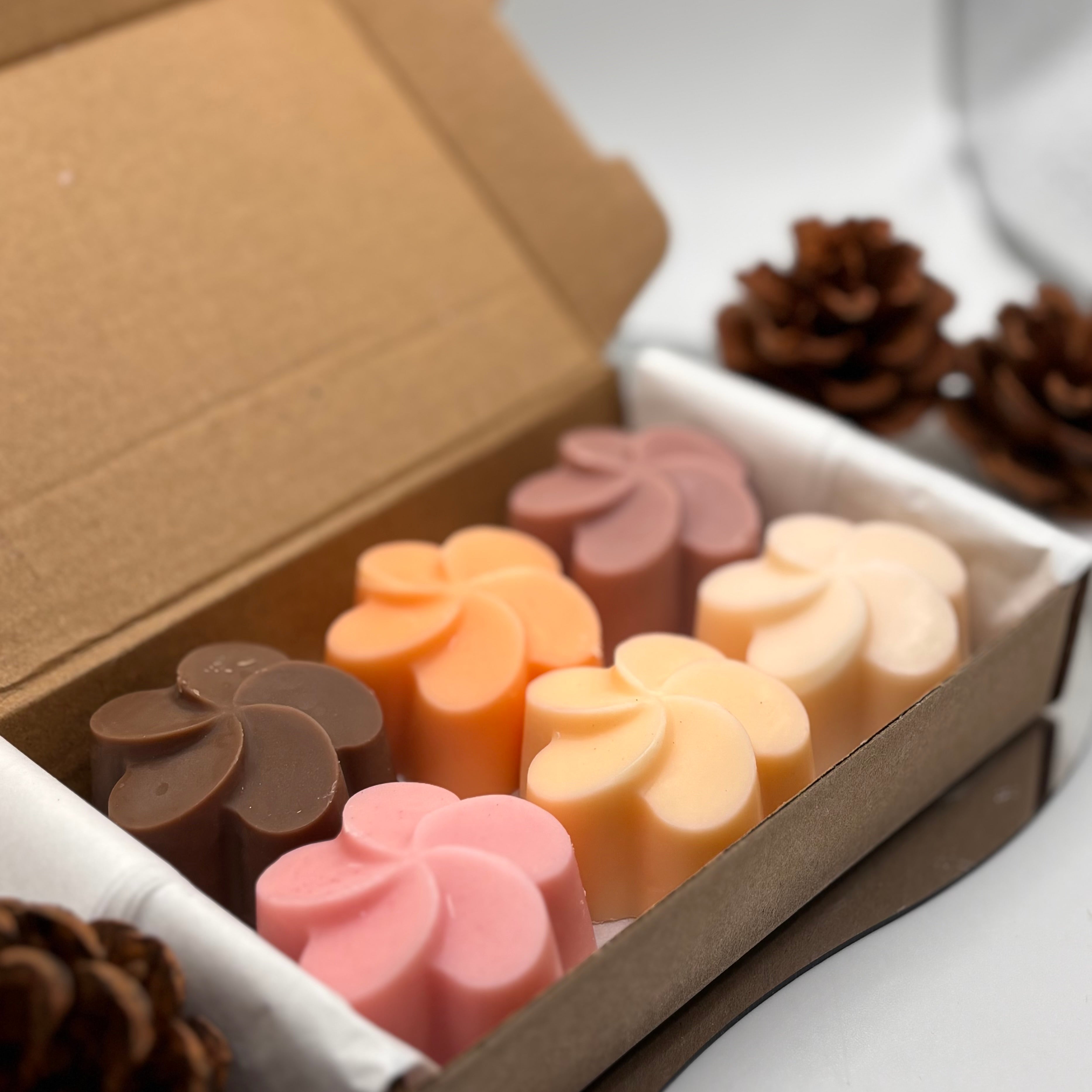 Fondants parfumés - Le coffret de Noël