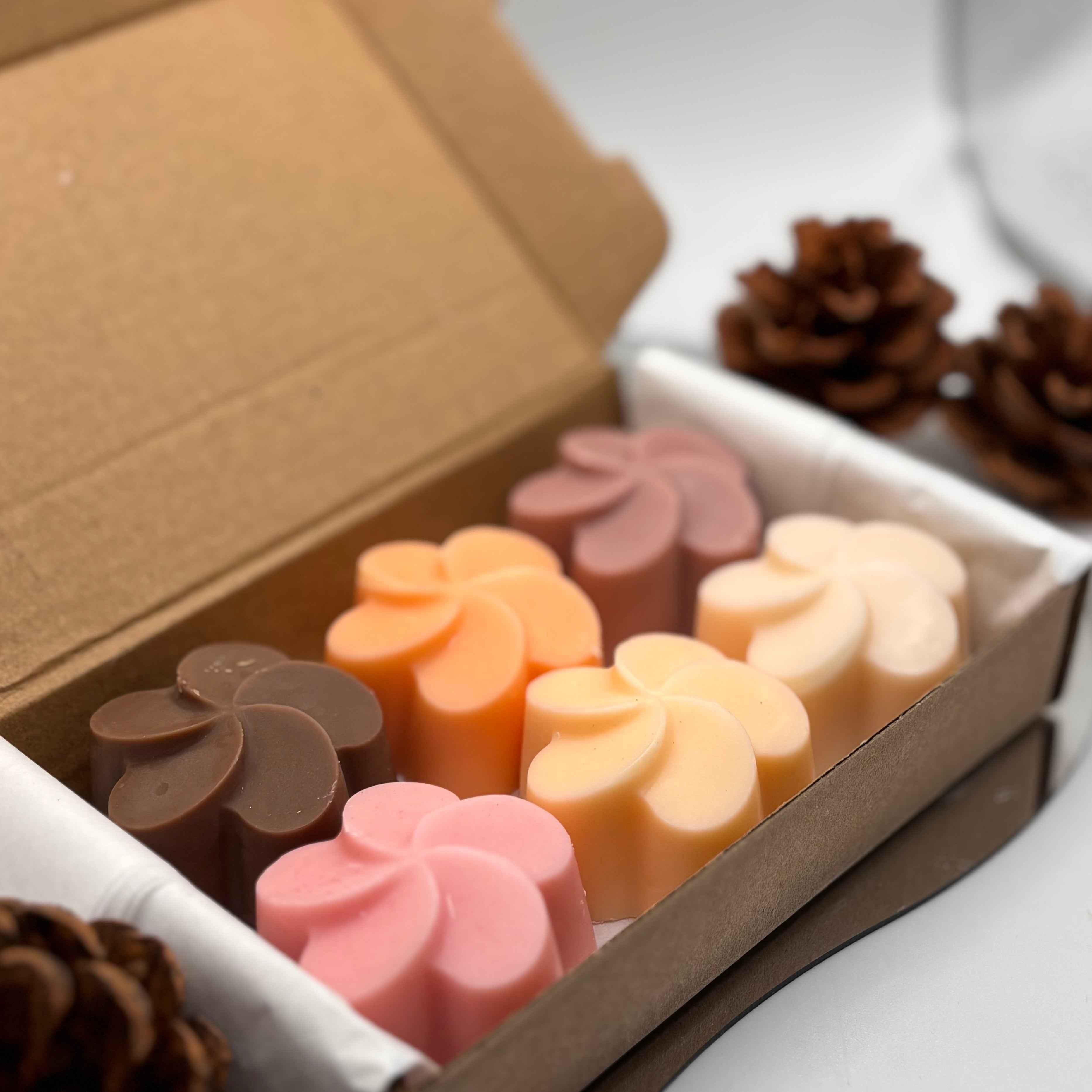 Fondants parfumés - Le coffret de Noël