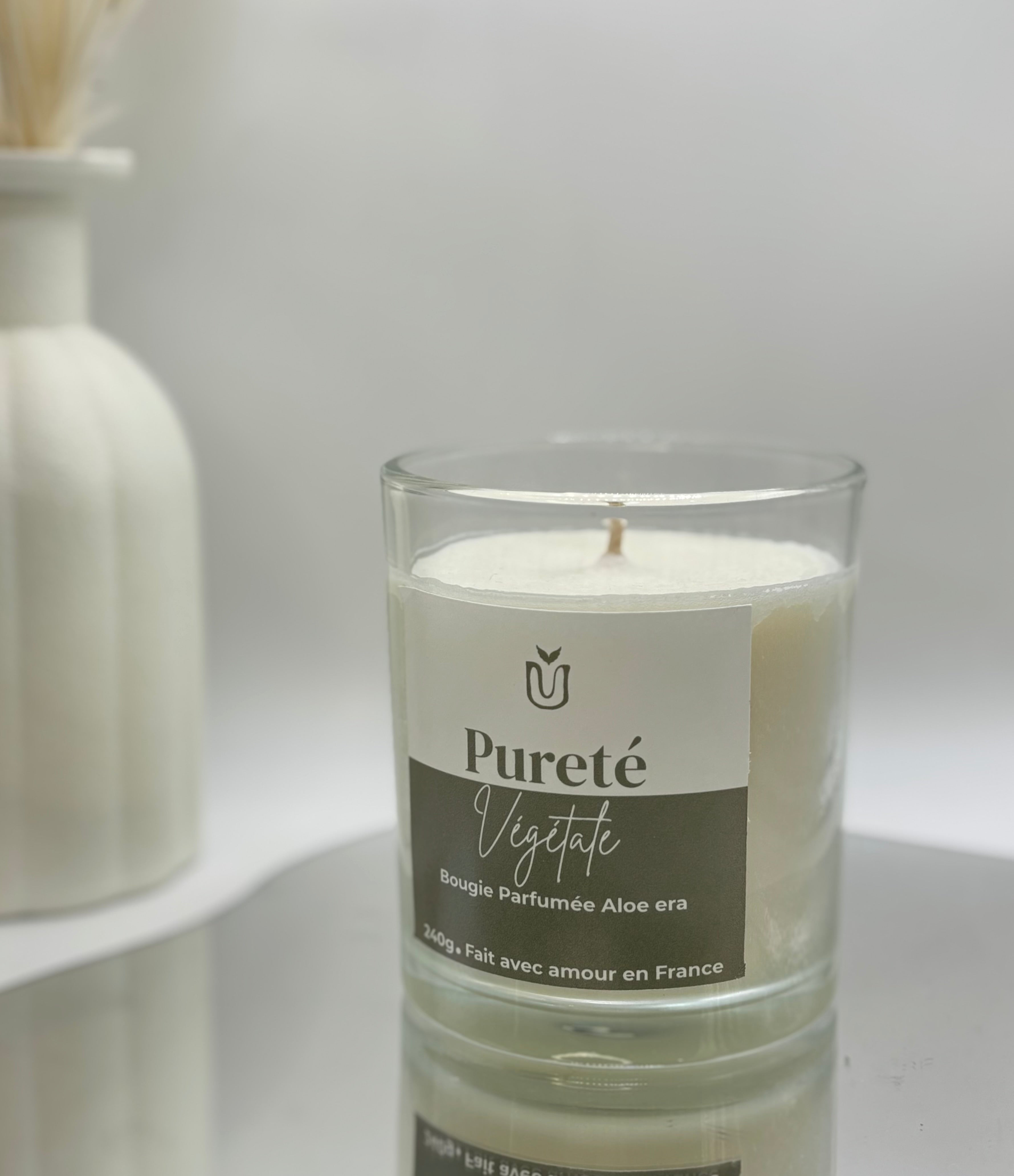 Bougie en pot Aloe Vera